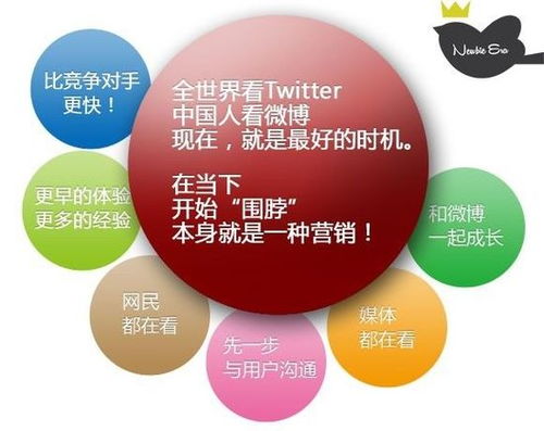 菜鳥時代 互聯網世界中的網絡品牌營銷與銷售新解